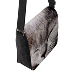 Flap Closure Messenger Bag (S) 