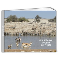 etosha 2013 - 9x7 Photo Book (20 pages)