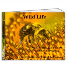 WildLifeBook - 9x7 Photo Book (20 pages)