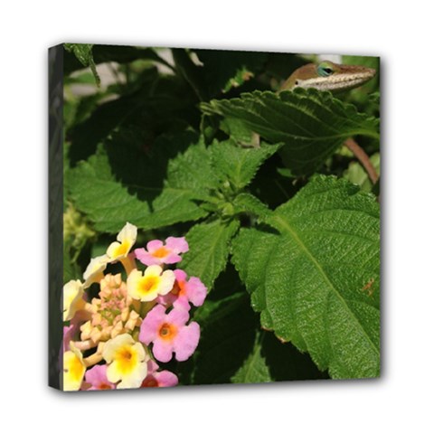 Lantana Lizard - Mini Canvas 8  x 8  (Stretched)