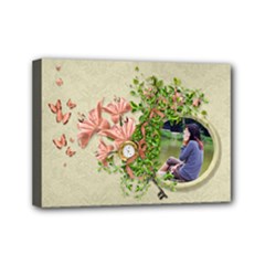 Mini Canvas 7  x 5  (Stretched) 