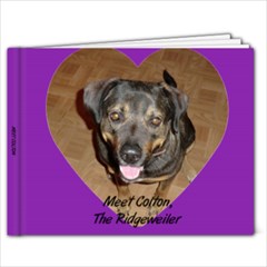 Ridgeweiler - 11 x 8.5 Photo Book(20 pages)