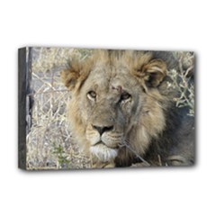 Deluxe Canvas 18  x 12  (Stretched) 