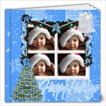 Merry Chirstmas - 12x12 Photo Book (20 pages)