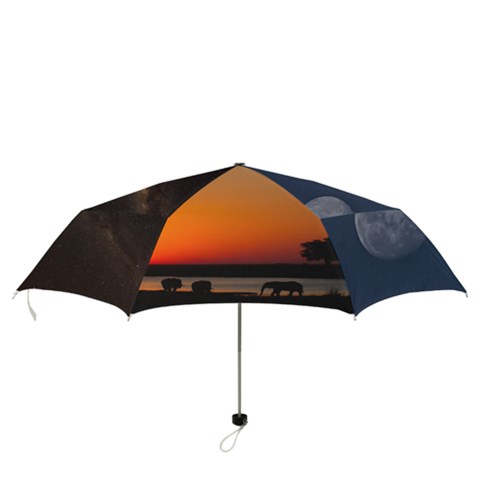 Folding Umbrella 