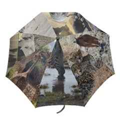 Kathryn Um - Folding Umbrella