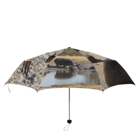 Folding Umbrella 