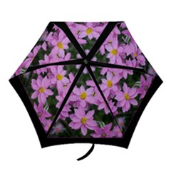 brollie 4 - Mini Folding Umbrella