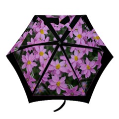 brollie 4 - Mini Folding Umbrella