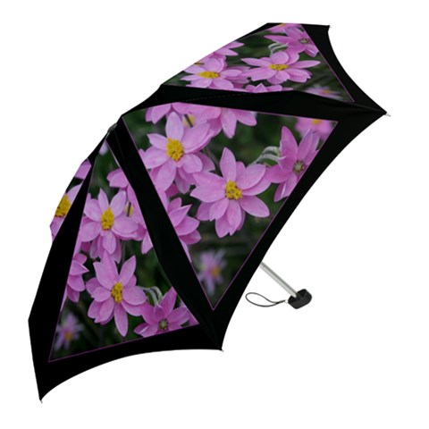 Mini Folding Umbrella 