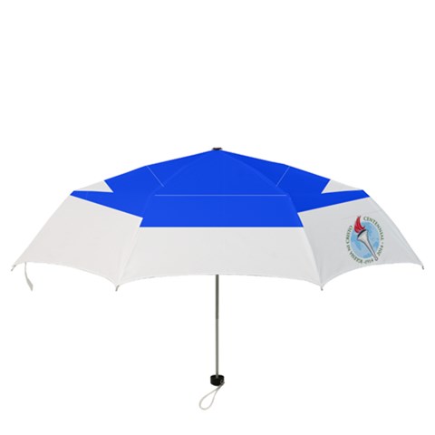 Folding Umbrella 