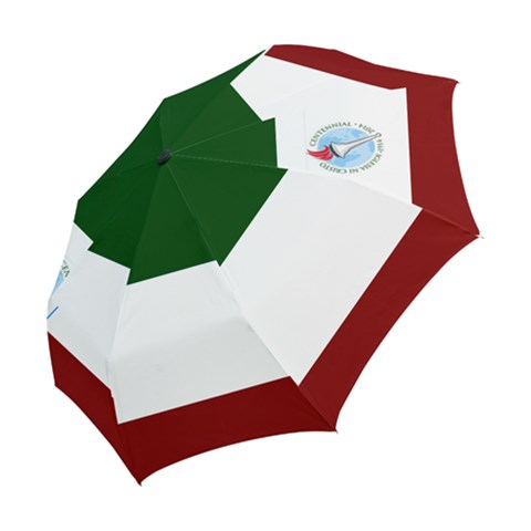 Folding Umbrella 