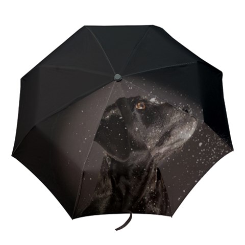 Folding Umbrella 