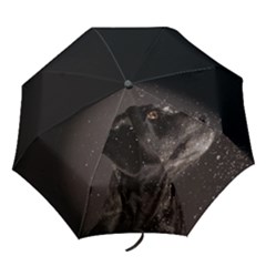 Britta-001 - Folding Umbrella