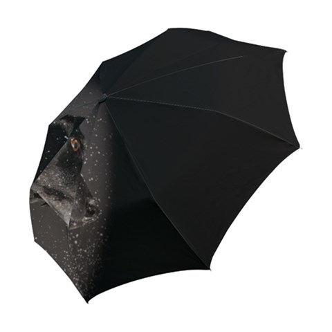 Folding Umbrella 