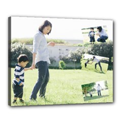Canvas 20  x 16  (Stretched) 