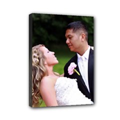 Mini Canvas 7  x 5  (Stretched) 