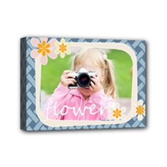Mini Canvas 7  x 5  (Stretched) 