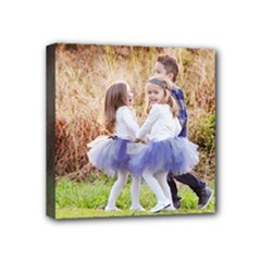 Mini Canvas 4  x 4  (Stretched) 
