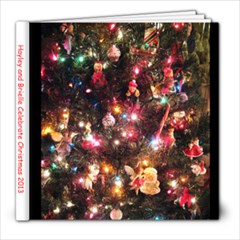 december 2013 4 - 8x8 Photo Book (20 pages)