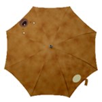 bear - Hook Handle Umbrella (Medium)