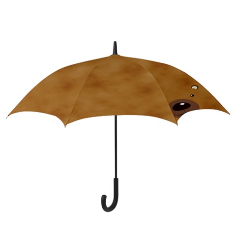 Hook Handle Umbrella (Large) 