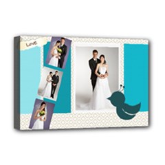 Deluxe Canvas 18  x 12  (Stretched) 