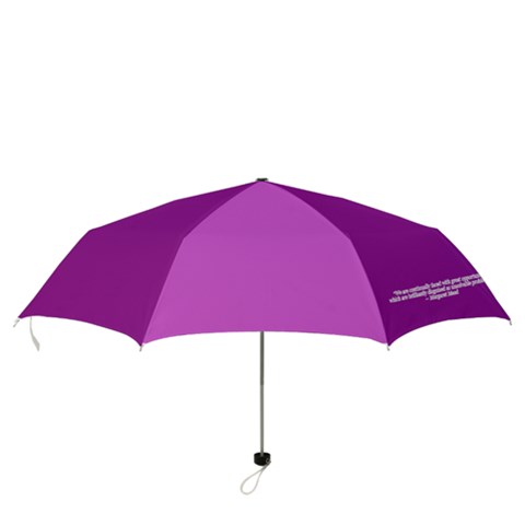 Folding Umbrella 