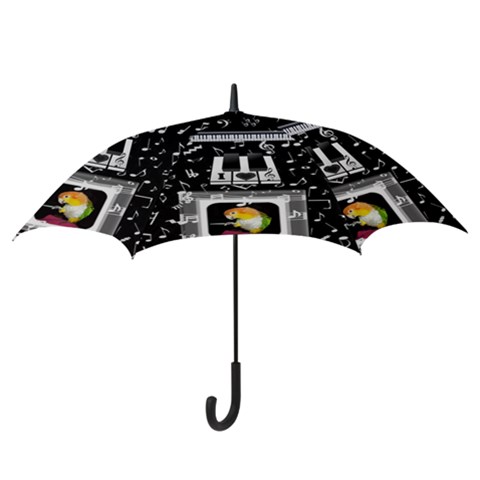 Hook Handle Umbrella (Large) 