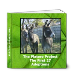 6 x 6 Platero Project - 6x6 Deluxe Photo Book (20 pages)