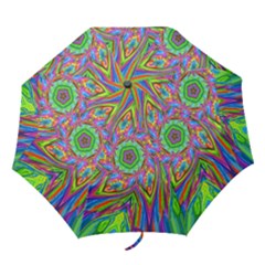 bigprettykalumb - Folding Umbrella