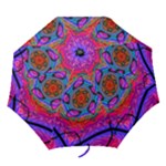 oldpinkbluekalumb - Folding Umbrella