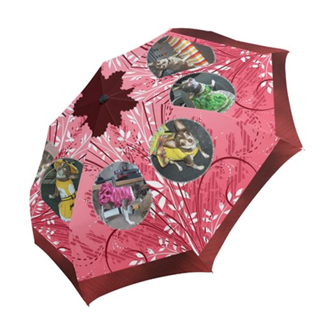 Folding Umbrella 