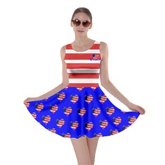 U.S.A. Skater Dress