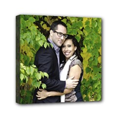 Mini Canvas 6  x 6  (Stretched) 