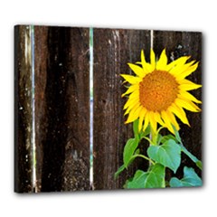 Canvas 24  x 20  (Stretched) 