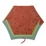 Watermelon - Mini Folding Umbrella