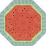 Watermelon - Folding Umbrella