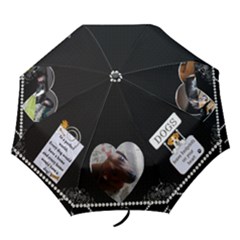 Umbrella - Folding Umbrella