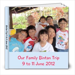 Our Bintan trip - 8x8 Photo Book (20 pages)