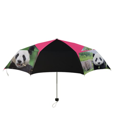 Folding Umbrella 