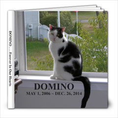 Domino - 8x8 Photo Book (20 pages)
