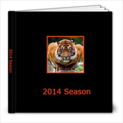 2014 Bengals Album - 8x8 Photo Book (20 pages)
