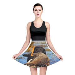 duck dress - Reversible Skater Dress