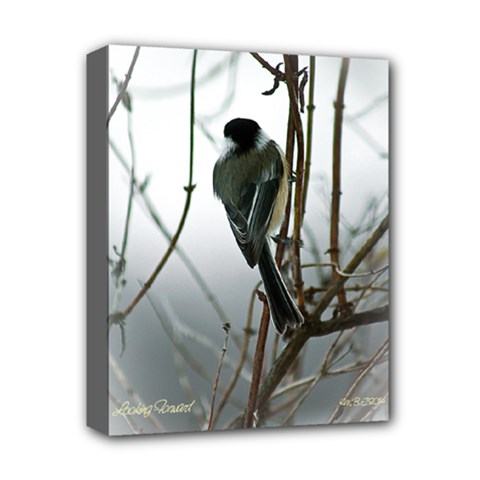 Looking forward - Deluxe Canvas 14  x 11  (Stretched)