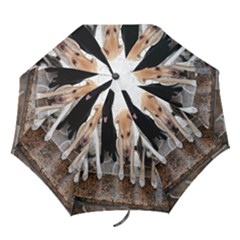 Umbrella Puppy  - Folding Umbrella