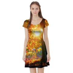 Atumn Sun - Short Sleeve Skater Dress