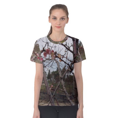 Women s Cotton T-Shirt 