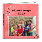 Pigeon Forge 2015 - 8x8 Photo Book (20 pages)