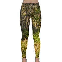 Bush Yoga 1 - Classic Yoga Leggings